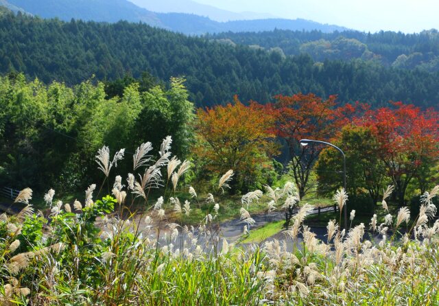 秋の木曽路