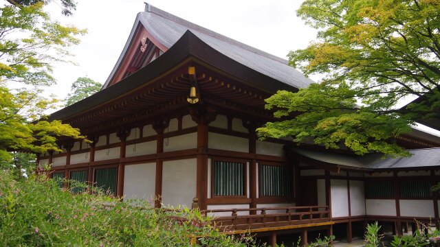 秋の毛越寺