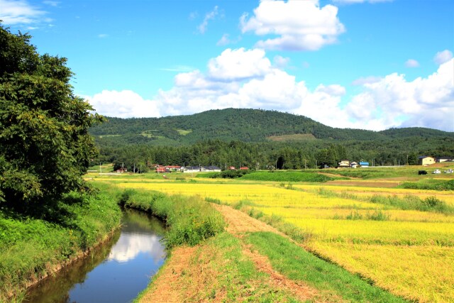 秋の岩手