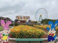 ひたち海浜公園