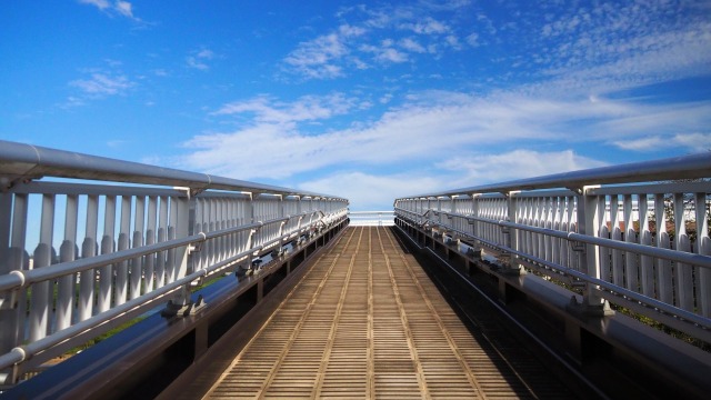 秋の船岡城址公園