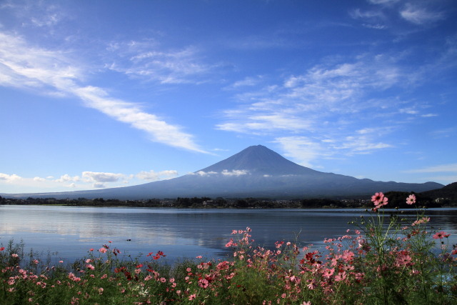 秋の風景