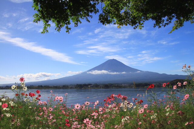 河口湖に秋の景色