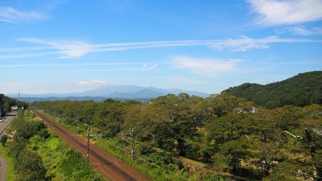 秋の船岡城址公園