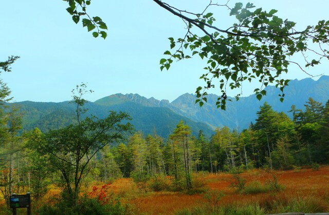 秋の田代湿原