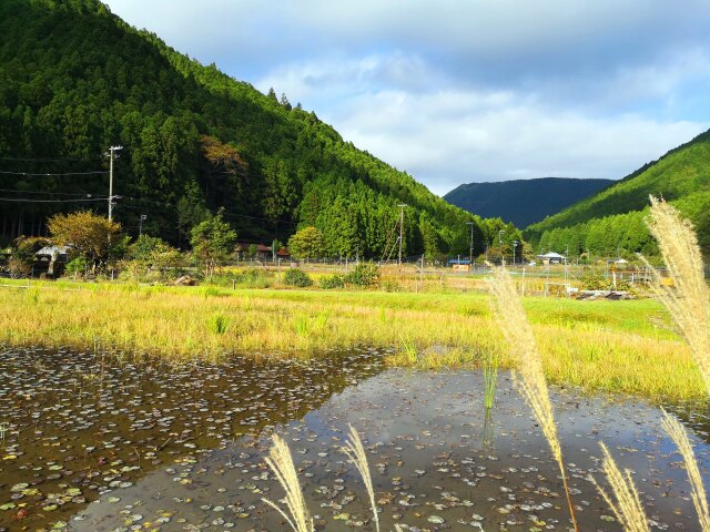 秋の里山