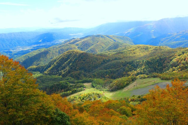 秋の栂池高原