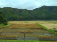 秋の白馬村