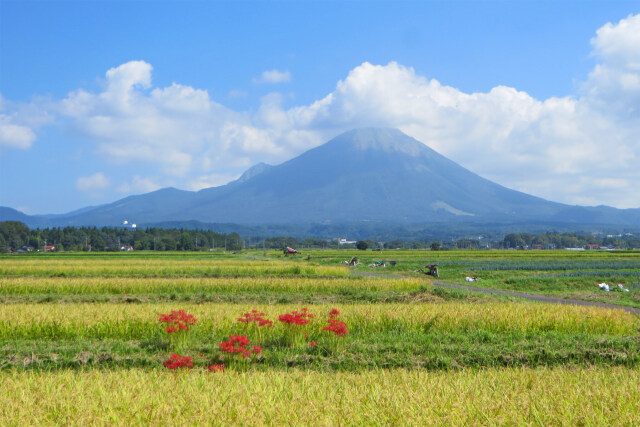 実りの秋 大山