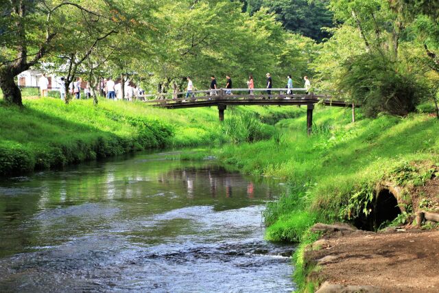 秋の忍野村