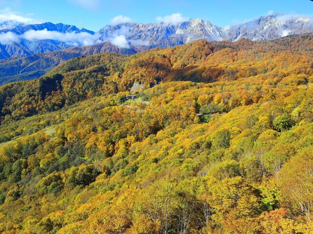 秋の栂池高原