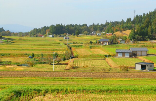 秋の里山