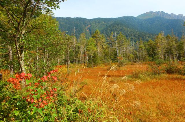 秋の田代湿原