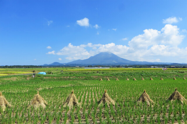 実りの秋 大山 2