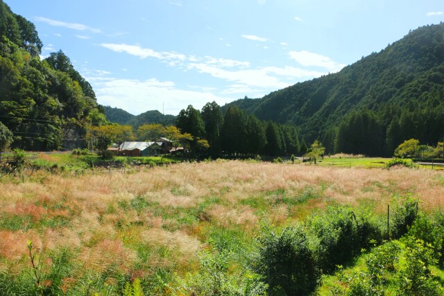 秋の里山