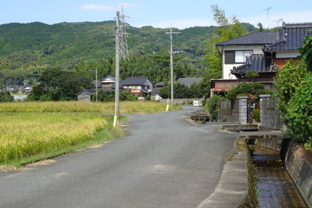 用水路と田舎道