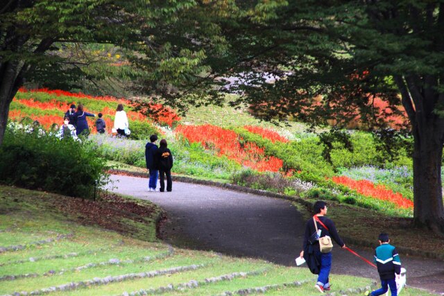 秋の公園