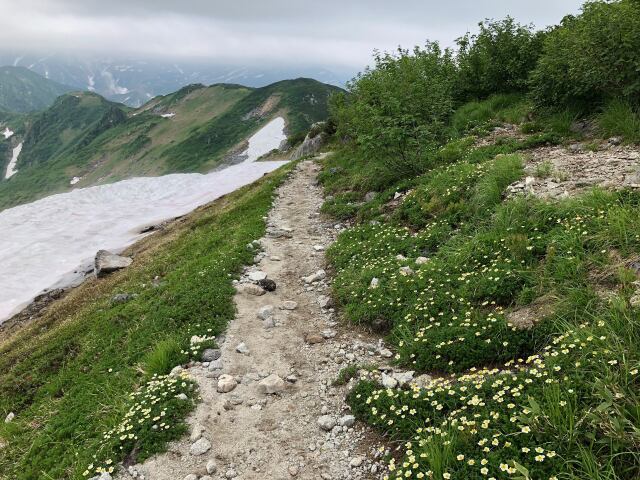 大日岳にて