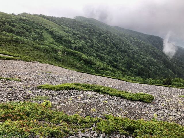 雨の蝶ヶ岳にて