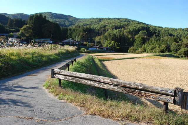 トンボのベンチ