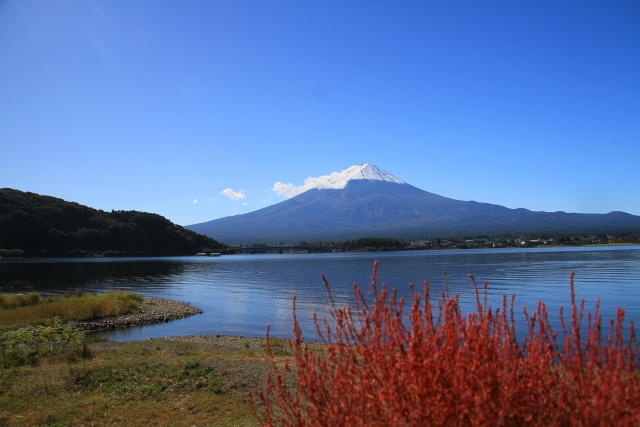 河口湖の秋