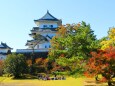 秋の伊賀上野城