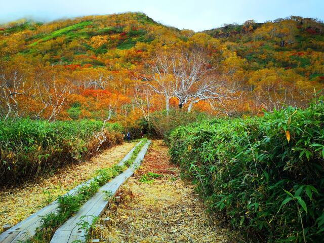 栂池自然園