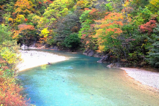 葛根田渓谷の紅葉