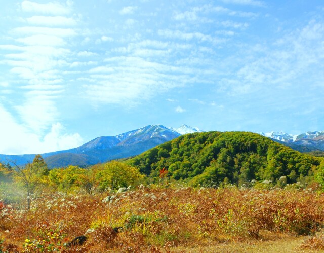 乗鞍高原