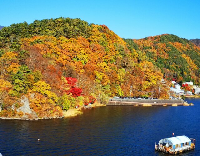 秋の河口湖