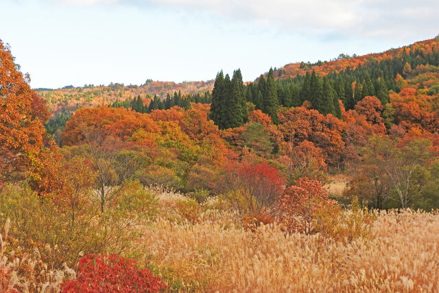 高原 秋 12