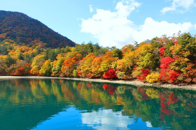 中禅寺湖紅葉