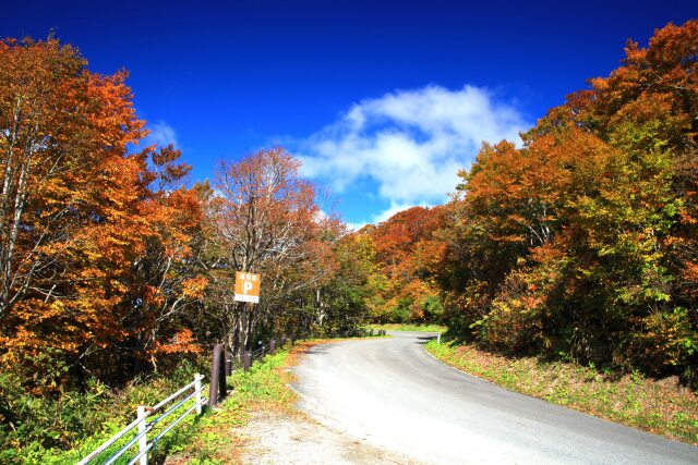 湖見峠