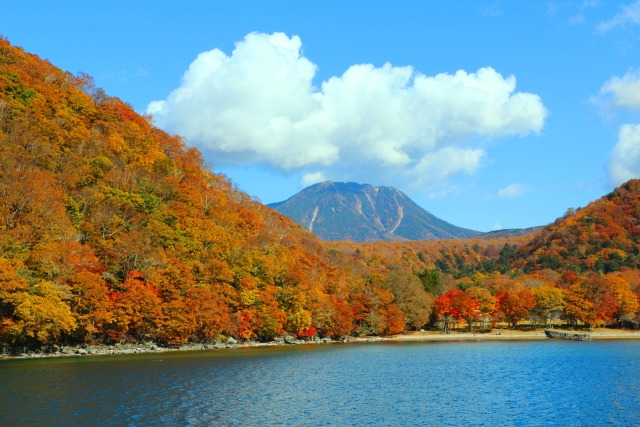 中禅寺湖紅葉