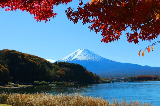 秋の河口湖