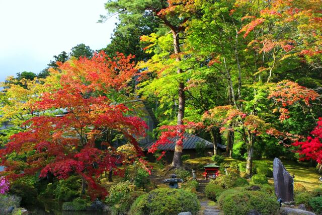 秋の日光山輪王寺庭園