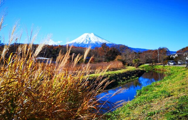 秋の忍野八海