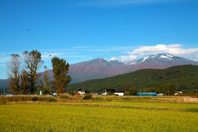 秋の鳥海山