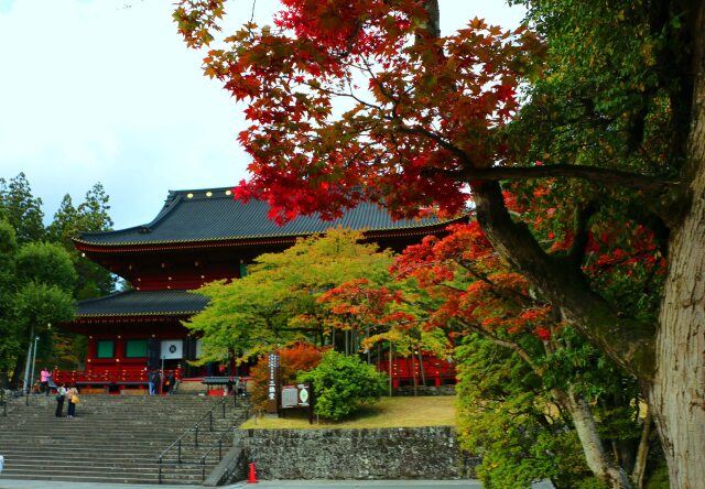 秋の日光山輪王寺