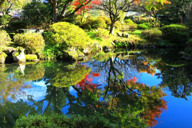 池と紅葉