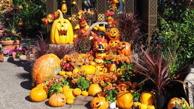 越後丘陵公園のハロウィン