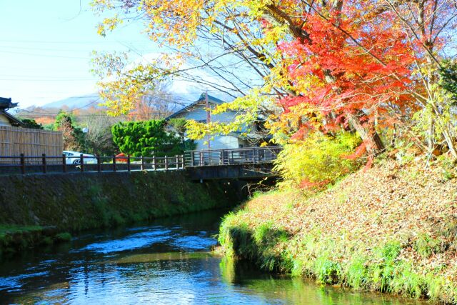 秋の忍野八海