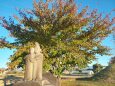 神宿る紅葉の風景