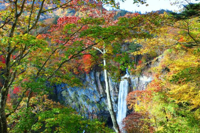 秋の華厳の滝