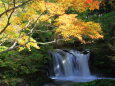 鐘山の滝