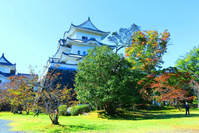 秋の伊賀上野城