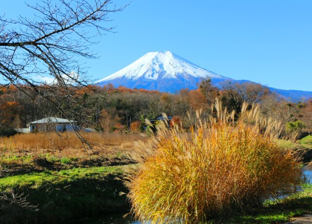 秋の忍野八海