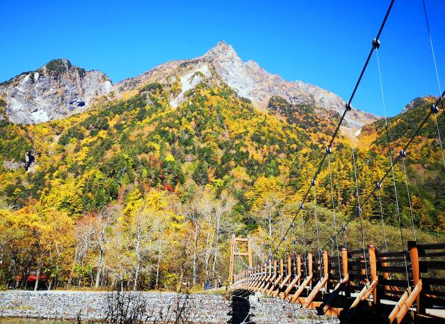 秋の明神橋