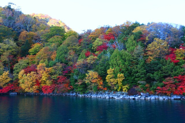 中禅寺湖紅葉