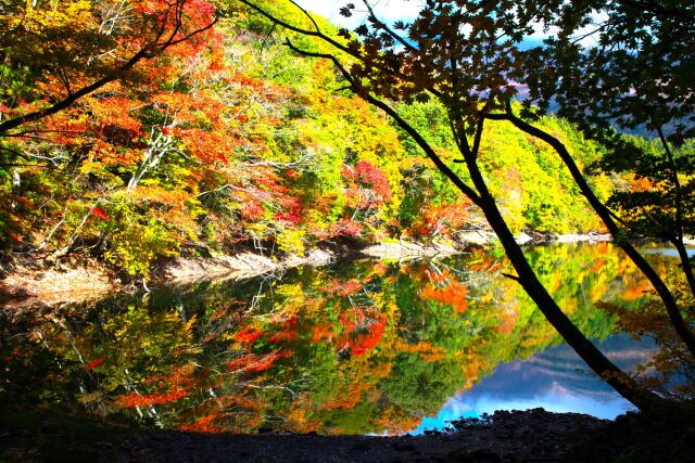 秋の長老湖